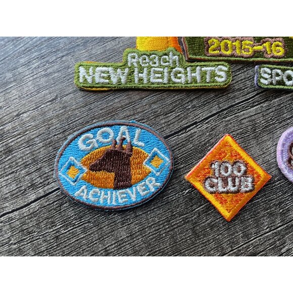 2015-2016 QSP patches Girl Scout GSUSA fall product program set safari giraffe - Picture 4 of 6